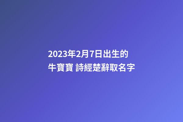 2023年2月7日出生的牛寶寶 詩經楚辭取名字